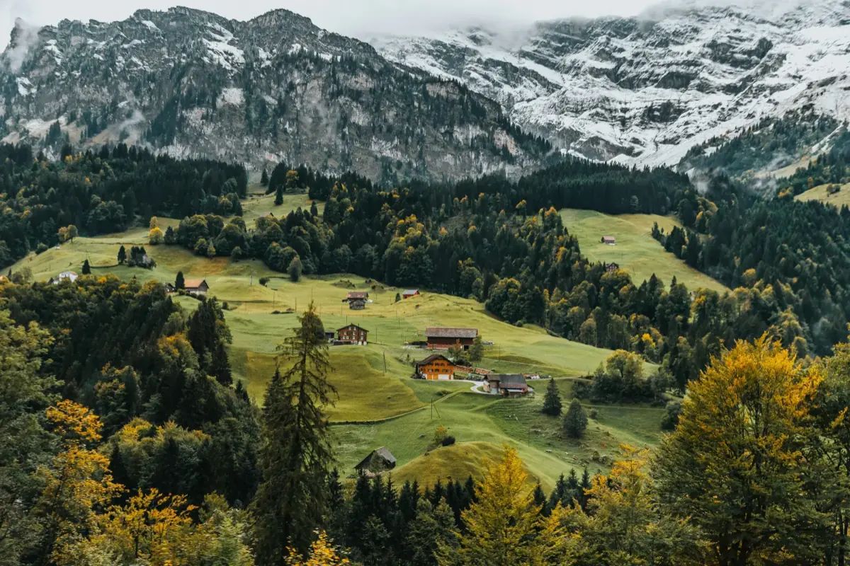 Trüffel in der Schweiz finden