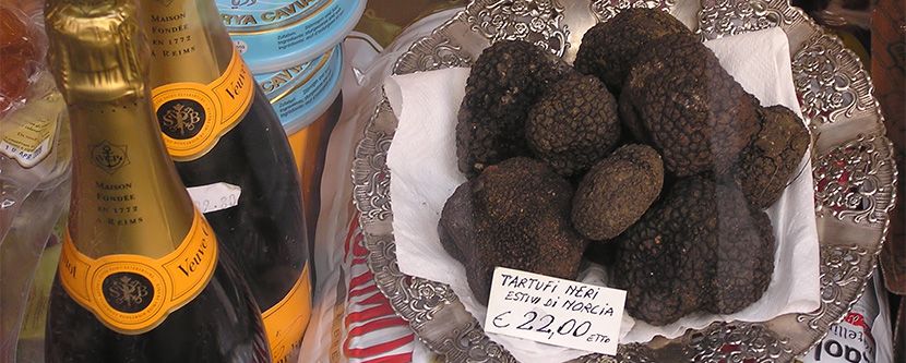 Querschnitt eines schwarzen Périgord-Trüffels